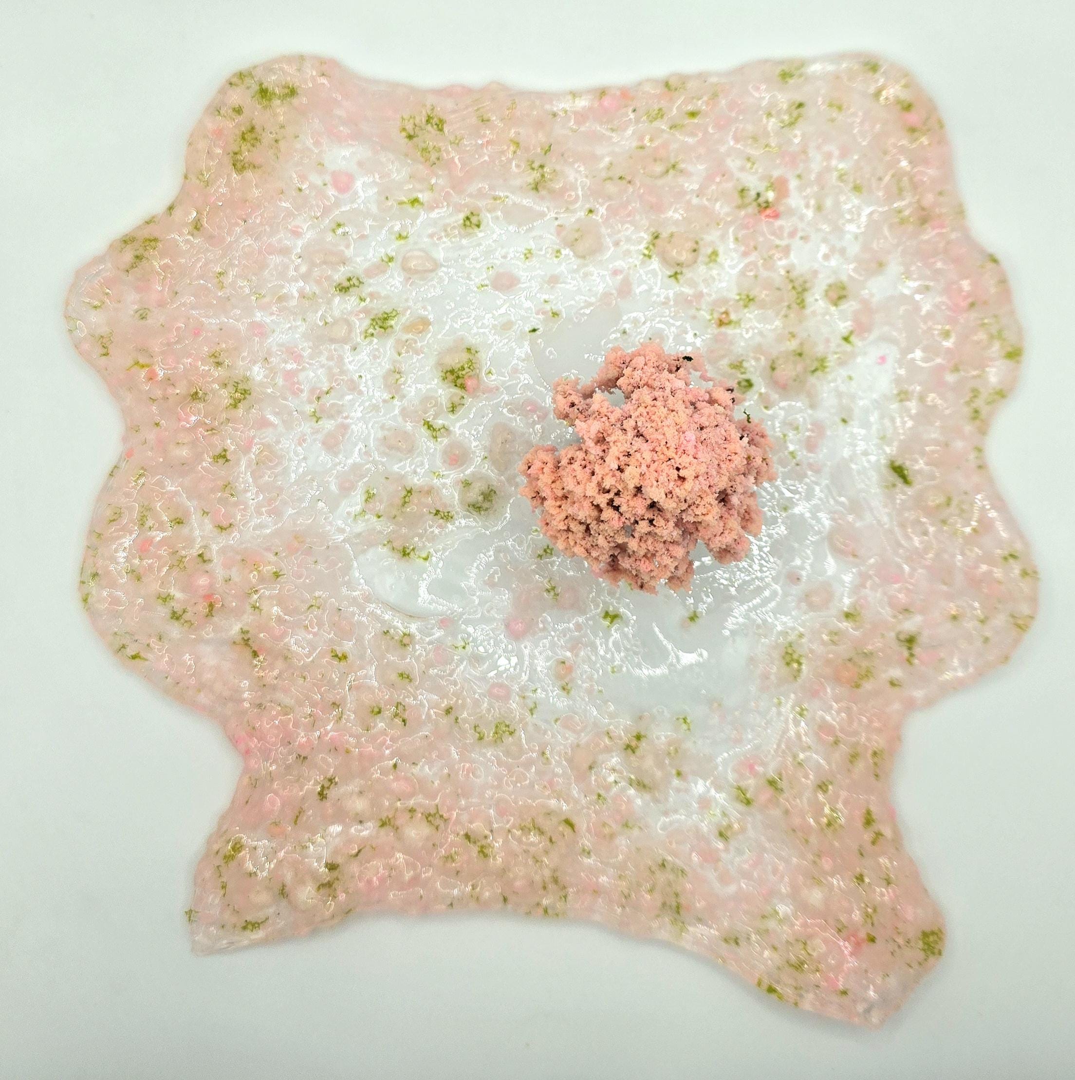 Blushing Canopy Slime, Cherry Blossom Sakura Slime